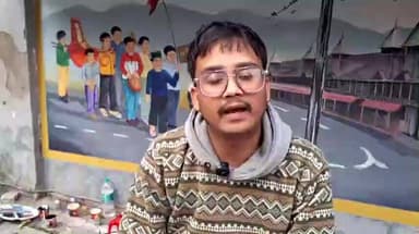 डेहर: अंतरराष्ट्रीय शिवरात्रि महोत्सव के दौरान कलाकार दीवारों पर बना रहे पेंटिंग, चित्रकार कर्ण ने कहा- यह पहला आयोजन है