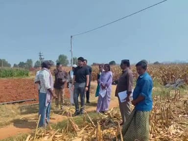 శింగనమల: కొర్రపాడు గ్రామంలోని రబి పంటలను పరిశీలించిన జిల్లా జాయింట్ కలెక్టర్ విష్ణు చరణ్