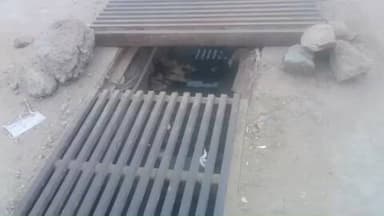 बस्सी: नई नाथ धाम की ओर जारी सड़क पर खटीक मोहल्ले के पास नाले पर लगा जाल एक माह से क्षतिग्रस्त होकर खुला पड़ा है