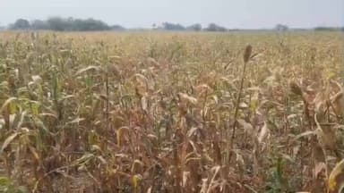 ಕಾಗವಾಡ: ರೈತರ ಜಮೀನುಗಳಿಗೆ ಸಮರ್ಪಕವಾಗಿ ಪೊರೈಕೆಯಾದ ವಿದ್ಯುತ್; ತಾಂವಶಿ ಗ್ರಾಮದಲ್ಲಿ ರೈತರ ಆಕ್ರೋಶ