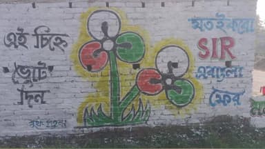 জয়নগর ২: বিরোধীদের টেক্কা দিতে কুলতলিতে সর্বত্রই তৃণমূল কংগ্রেসের দেয়াল লিখন