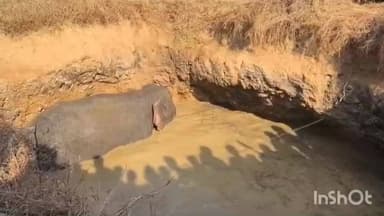 ବୀରମିତ୍ରପୁର: ନୂଆଗା ଫାଣ୍ଡି ଅନ୍ତର୍ଗତ ଗୋଲଦାରୁ ଗଂଝୁବସ୍ତିଠାରେ ଥିବା ଏକ ଗାତରୁ ହାତୀକୁ ଉଦ୍ଧାର