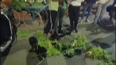 देवास: इंदिरा गांधी चौराहे पर सब्जी ठेला हटाने पहुंची नगर निगम की टीम, विवाद की स्थिति बनी