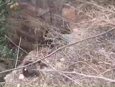 मोहनगढ़: आदर्श ग्राम गौर में ताला भरने के लिए नहर से लगाई गई मोटर पंप, पंचायत सचिव पर लगे आरोप