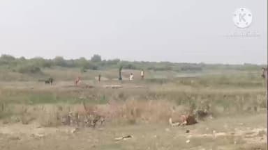 কাকদ্বীপ: বুদ্ধপুর এলাকার এক ইটভাটার মালিক মুড়িগঙ্গার নদীর চরে মাটি কাটছে আয়নাতে ব্যবস্থা নেওয়ার আশ্বাস প্রশাসনের