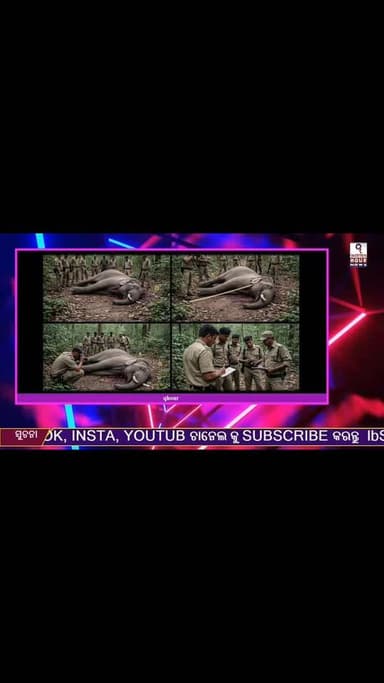 ବାଲିଗୁଡା DFO ଙ୍କ ଫିଟିବ ଅସଲ #BJP4ViksitBharat #rtsreels #BJDDigitalWing #spkandhamal #BJD4Odisha #DMKandhamal #bjdpo #lit...