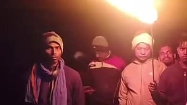 गोमिया: कंडेर के जंगल में हाथी देखे जाने से ग्रामीणों में दहशत, मशाल जलाकर ग्रामीण सतर्क