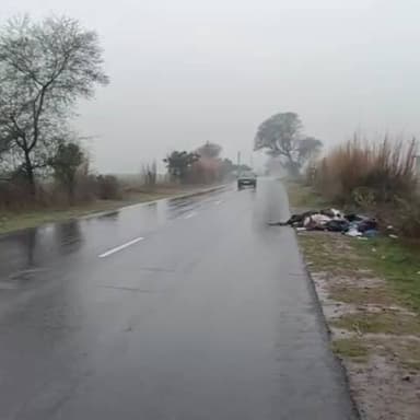 राजगढ़: राजगढ़ क्षेत्र में बरसात से किसानों के चेहरे खिले, फसल उत्पादन में होगा फायदा