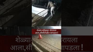 सीसीटीव्हीने उघडे पडले कांड ! #crimenews #cctv #police