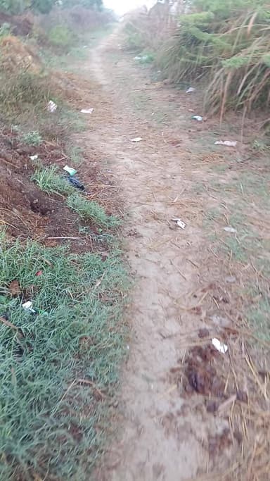 rura Saif Ali link Marg nearby Bundelkhand expressway Auraiya