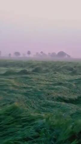 भगवानपुरा में भारी नुकसान