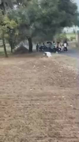 आनंदपुरी: फलवा मार्ग पर युवक के साथ हुई मारपीट, बदमाशों से दहशत का माहौल