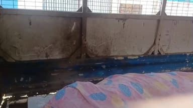 শান্তিপুর: মানসিক অবসাদের কারণে গলায় ফাঁস লাগিয়ে আত্মঘাতী শান্তিপুর ব্লকের বাগআঁচরার এক মাছ ব্যবসায়ী