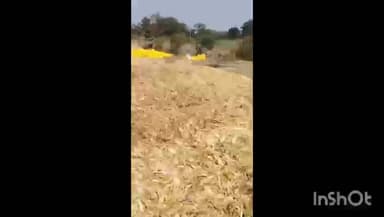 आठनेर: नगर में किसान के खेत में मक्का थ्रेसिंग के दौरान लगी आग, दमकल कर्मियों ने पाया काबू