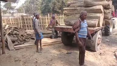 চাঁচল ২: চাঁচলে রেঞ্জার পেটানোর জেরে কড়া পদক্ষেপ! অভিযুক্ত মনিরুলের অবৈধ মিল সিল করল বনদপ্তর