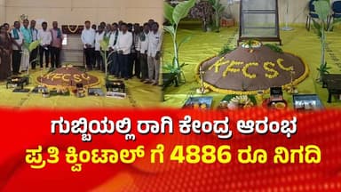 Gubbi | ಗುಬ್ಬಿಯಲ್ಲಿ ರಾಗಿ ಖರೀದಿ ಕೇಂದ್ರ ಆರಂಭ : ಪ್ರತಿ ಕ್ವಿಂಟಾಲ್ ಗೆ 4886 ರೂ ನಿಗದಿ | Chalukya News