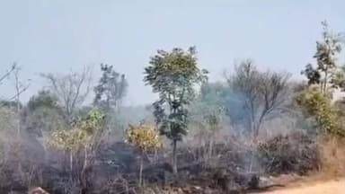 ಬೇಲೂರು: ಪಟ್ಟಣದ ಫಿಲ್ಟರ್ ಹೌಸ್ ಹತ್ತಿರ ಇರುವ ನರ್ಸರಿ ಗೆ ಆಕಸ್ಮಿಕ ಬೆಂಕಿ ಅಪಾರ ಪ್ರಮಾಣದ ಹಾನಿ