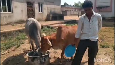 ఐటిడిఏ పోస్ట్ మెట్రిక్ బాలుర హాస్టల్లో నాణ్యతలేని భోజనం పై సమగ్రత దర్యాప్తు నిర్వహించాలి
: ఏఐఎస్ఎఫ్ జిల్లా కార్యదర్శి