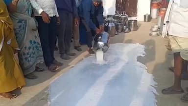 ಪಾಂಡವಪುರ: ಸಹಕಾರ ಸಂಘದಲ್ಲಿನ ಅವ್ಯವಸ್ಥೆ ಖಂಡಿಸಿ ರಸ್ತೆಗೆ ಹಾಲು ಸುರಿದು ರೈತರ ಪ್ರತಿಭಟನೆ, ಪಾಂಡವಪುರ ತಾಲ್ಲೂಕಿನ ಮಾಡರಹಳ್ಳಿಯಲ್ಲಿ ಘಟನೆ