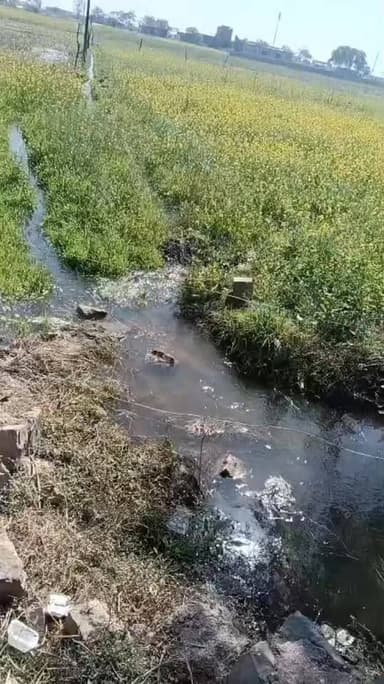 *प्रयागराज बारा तहसील क्षेत्र में*
*सैकड़ों बीघा फसल बर्बाद, बाघला नहर प्रखंड की नीबी माइनर टूटी — किसानों में आक्रोश*
