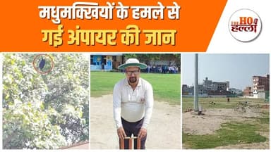 स्टेडियम पर मधुमक्खियों का हमला, अंपायर की मौत #unnaonews