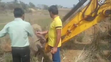 পাড়া: পাড়া ব্লকের কেল্যাহী গ্রামে লুকুর পুকুর সংস্কার কাজের শুভ উদ্বোধন