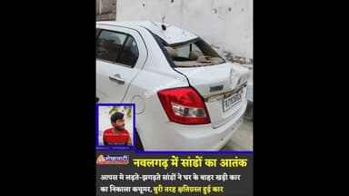 नवलगढ़ में सांडों का आतंक, क्या हालत कर दी कार की...see more #nawalgarh #viral #viralvideo #jhunjhunu