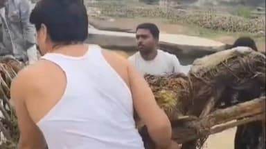 हर्रैया: मखौड़ा धाम में युवाओं ने शुरू किया सफाई अभियान, लोगों से मनोरमा नदी को स्वच्छ रखने में सहयोग की अपील की