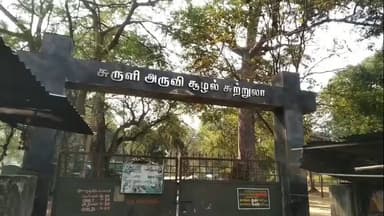 உத்தமபாளையம்: வறண்ட பாறையாக நீர் வரத்து இல்லாமல் காட்சியளிக்கும் சுருளி அருவி - தூவானம் அணை திறக்க கோரிக்கை