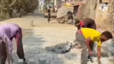 ঠাকুরপুকুর-মহেশতলা: সাংসদ অভিষেক বন্দ্যোপাধ্যায়ের উদ্যোগে ডাকঘর থেকে রবীন্দ্রনগর থানা পর্যন্ত রাস্তা সংস্কারের কাজ খুশি এলাকাবাসীরা