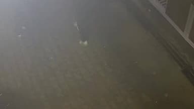 खैर: सीसीटीवी में कैद हुई चोरों की करतूत, वायरल वीडियो सामने आया