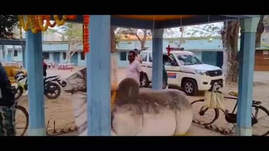 କାମାକ୍ଷାନଗର: ଭୁବନ ବୁଦ୍ଧେଶ୍ୱର ମନ୍ଦିରରୁ ଚୋରୀ କରିବା ବେଳେ ଧରା ପଡି ବନ୍ଧା ହେଲେ ଚୋର ପୋଲିସ ପହଂଚି କଲା ତଦନ୍ତ