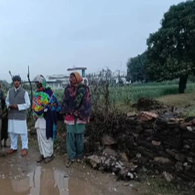 थानागाजी: थानागाजी कस्बे के बिहारी सर रोड पर खेत में लगी झटका मशीन से दो बकरियां आई चपेट में, एक की मौत और दूसरी गंभीर रूप से घायल