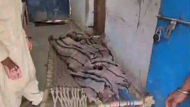 उदवंत नगर: उदवंतनगर बाजार पर अज्ञात वाहन ने पूजा कर लौट रहे बुजुर्ग को कुचला, शव बुरी तरह क्षत-विक्षत हालत में मिला