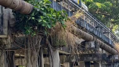 കൊച്ചി: ചെറായി വാസ്തേരി പാലം അപകടാവസ്ഥയിൽ