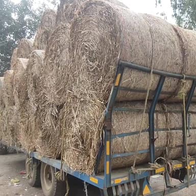 यमुनानगर/चालान बनाम ट्राली इंजीनियरिंग जुगाड़, नियमों को चुनौती देती सड़क की मालगाड़ी। #Yamunanagar
#TrafficViolation #R...