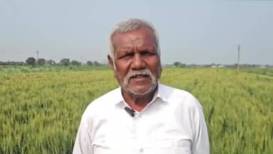 તાલોદ: તાલુકાના નવલપુર ગામના પ્રગતિશીલ ખેડૂતે અપનાવી પ્રાકૃતિક ખેતી: 'ઝીરો બજેટ' થી મેળવી રહ્યા છે સમૃદ્ધિ, પ્રતિક્રિયા આપી