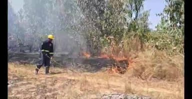 పుంగనూరు: నీలిగిరి తోటలో చెలరేగిన మంటలు మంటలను అదుపులో తెచ్చిన ఫైర్ సిబ్బంది.