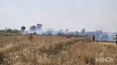 ବୀରମହାରାଜପୁର: ଆପଟନୂଆଗଡ ଗାଁ ମୁହାଁ ହେଉଥିବା ବିଲ ନିଆଁକୁ ଆୟତ୍ତ କଲା ବୀରମହାରାଜପୁର ଅଗ୍ନିଶମ ବାହିନୀ