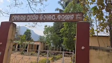 ଭଞ୍ଜନଗର: ବଜ୍ରକୋଟ ଗ୍ରାମରେ ବାଘଛୁଆ ଉଧାର ଘଟଣା, ଡିଏଫଓଙ୍କ ତଦନ୍ତ ପରେ ଶବ ବ୍ଯବଚ୍ଛେଦ ପାଇଁ ନିଆଗଲା ବାଘର ମରଶରୀର