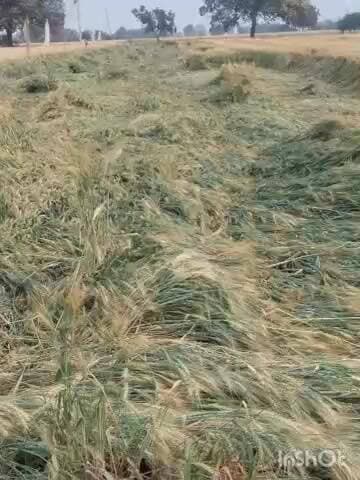 माकड़ोन: तराना कांग्रेस विधायक महेश परमार ने मुख्यमंत्री से की मांग, किसानों को बीमा व मुआवजा राशि जल्द दिलाएं