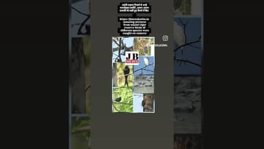 उदंती टाइगर रिजर्व से आई मनमोहक तस्वीरे ,अलग-अलग प्रजाति के पक्षी हुए कैमरे में कैद #news