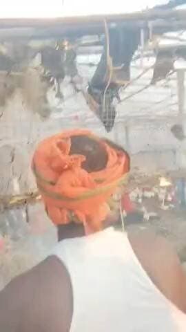 बेलदौर: बलथी गांव के पाल्ट्री फार्म में आग लगने से दर्जनों मुर्गे जलकर मरे