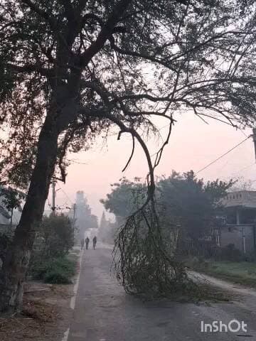 छौड़ाही: दौलतपुर-मालीपुर मुख्य मार्ग पर बरदाहा में पेड़ की टहनी गिरने से यातायात बाधित