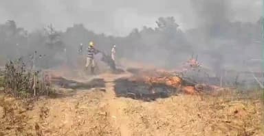 పుంగనూరు: యుఎన్ఆర్ సర్కిల్ వద్ద మామిడి తోటలో అగ్నిప్రమాదం. మంటలను అదుపులో తెచ్చిన ఫైర్ సిబ్బంది.