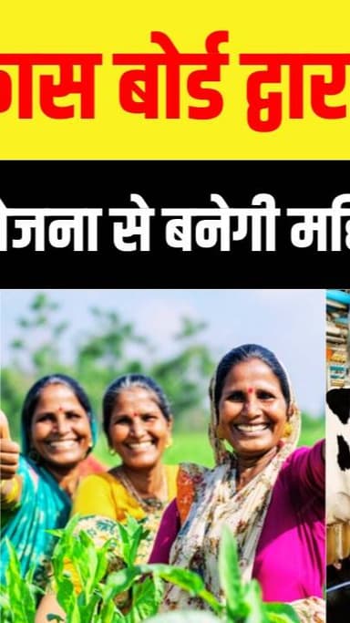 IDA के 52वें डेयरी इंडस्ट्री कॉन्फ्रेंस में तकनीकी नवाचार और महिला सशक्तिकरण पर जोर!
#DrLataSabikhi #DrSSMann #AKKhosla...