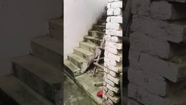 गैस एजेंसी पर मिली अनियमितताएं,घरेलू गैस के दुरुपयोग की कार्रवाई में चार सिलेंडर किए जब्त//19FEB2026