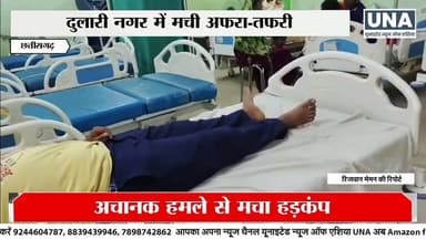 #धमतरी के रुद्री रोड पर मधुमक्खियों का हमला, छह घायल