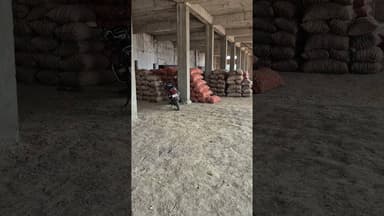 शिवराजपुर क्षेत्र में एक और कोल्ड का हुआ उद्घाटन किसानों को मिलेगा बड़ा लाभ #aalukabhav