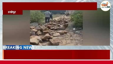 श्योपुर: अवैध खनन के खिलाफ सख्ती, एक हफ्ते में 5 ट्रैक्टर-ट्रॉली जब्त | ChambalTV
#श्योपुर #sheopur #चंबलटीवी #Jansam...